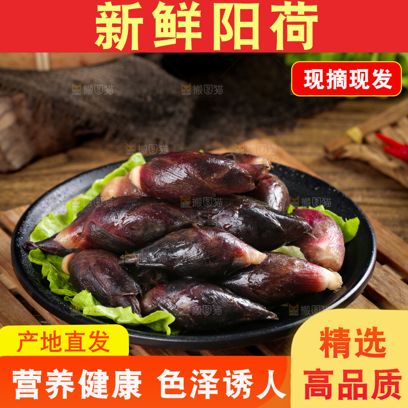 盘子里装着阳荷姜