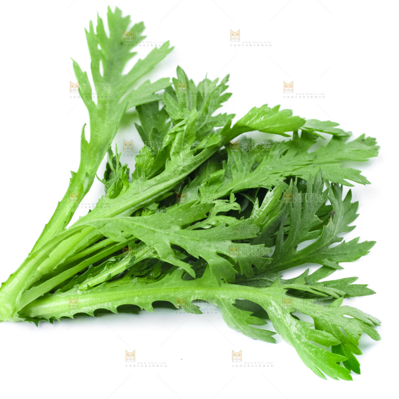 白底上的蓬蒿菜