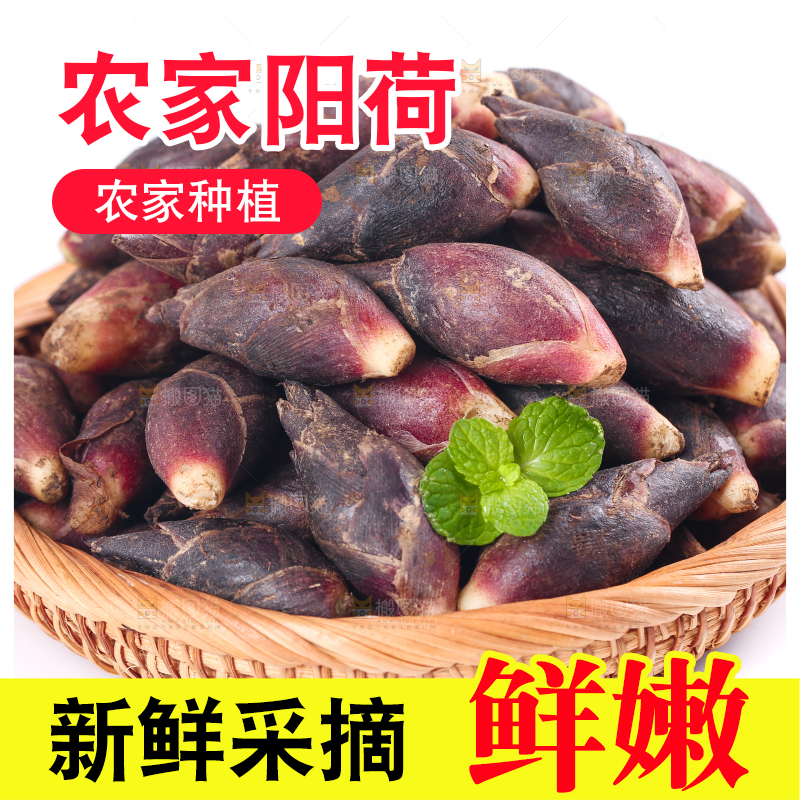 篮子里装着阳荷