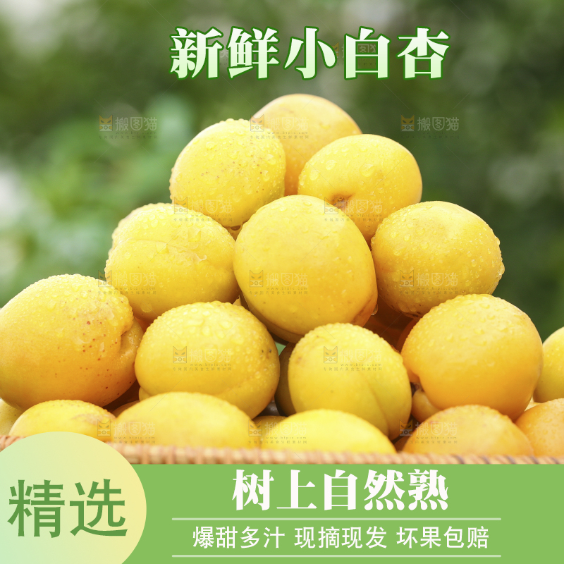篮子里装着白杏