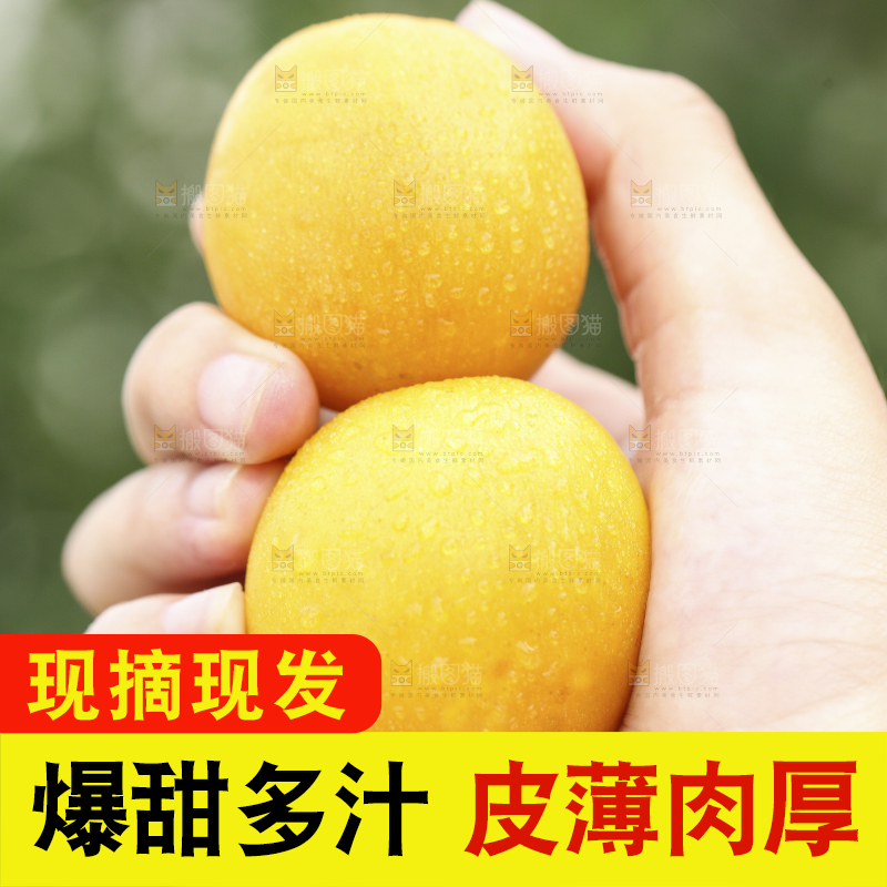 手里拿着小白杏