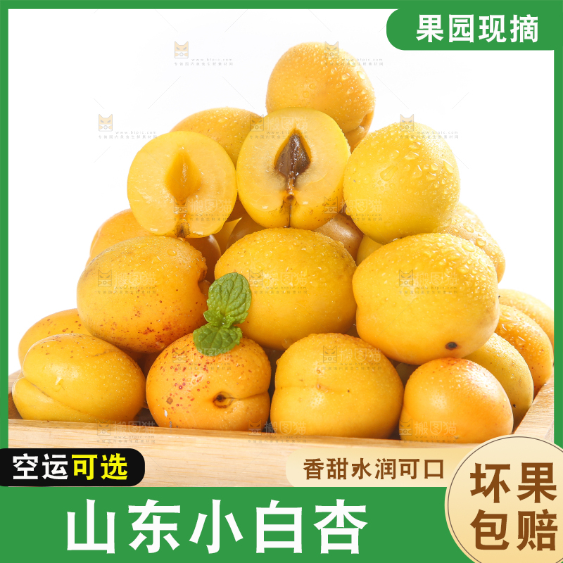 盘子里装着新疆小白杏