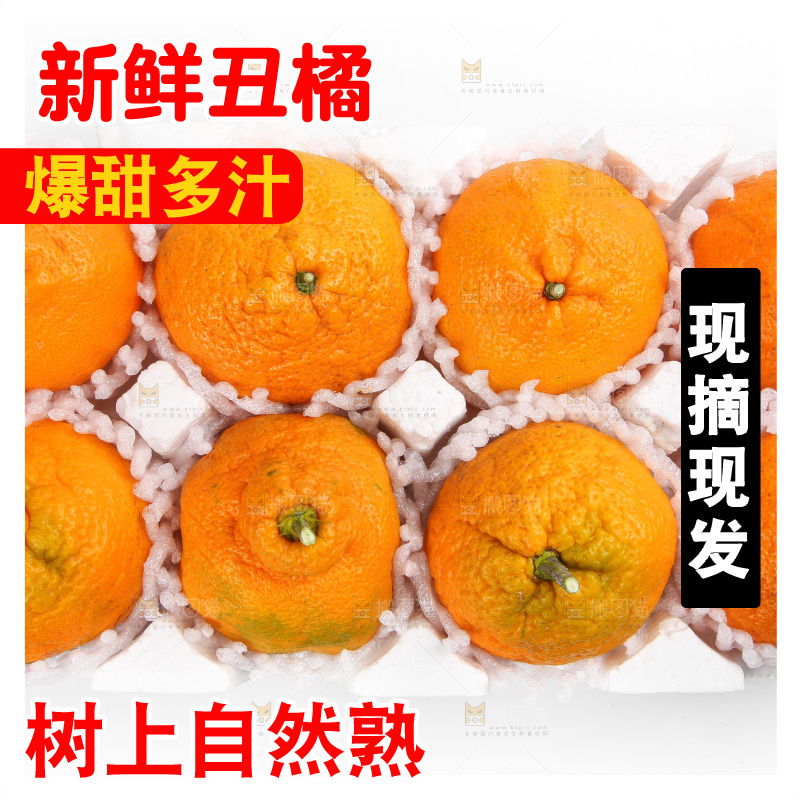 泡沫箱里的丑八怪