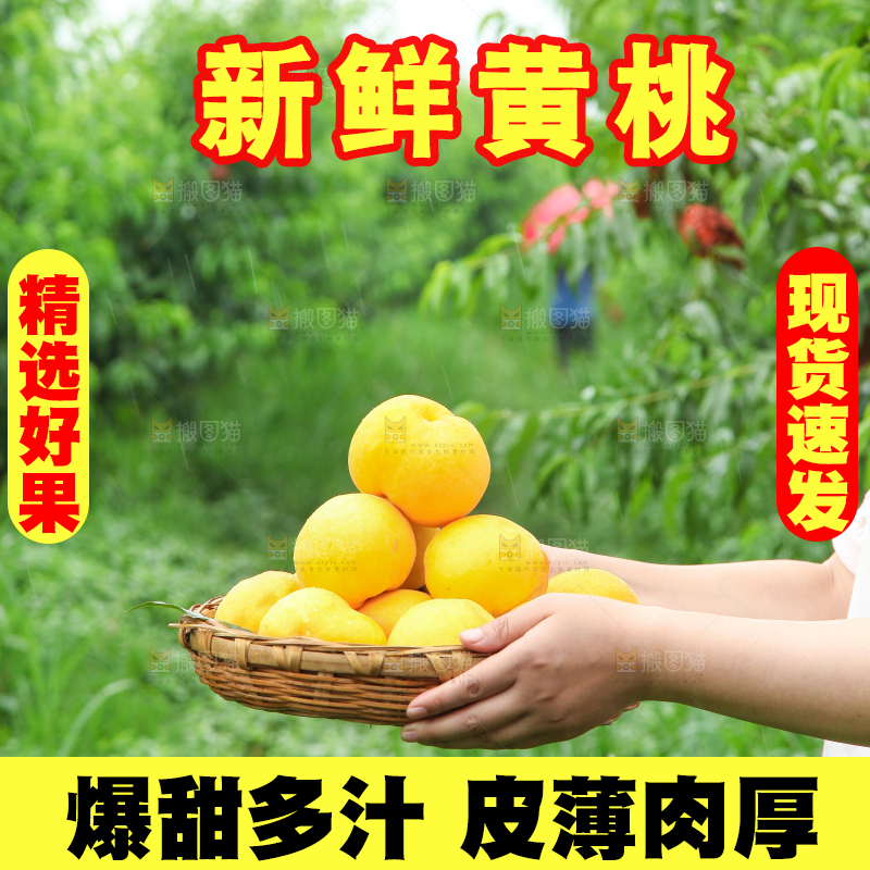 手里端着一篮黄皮黄桃