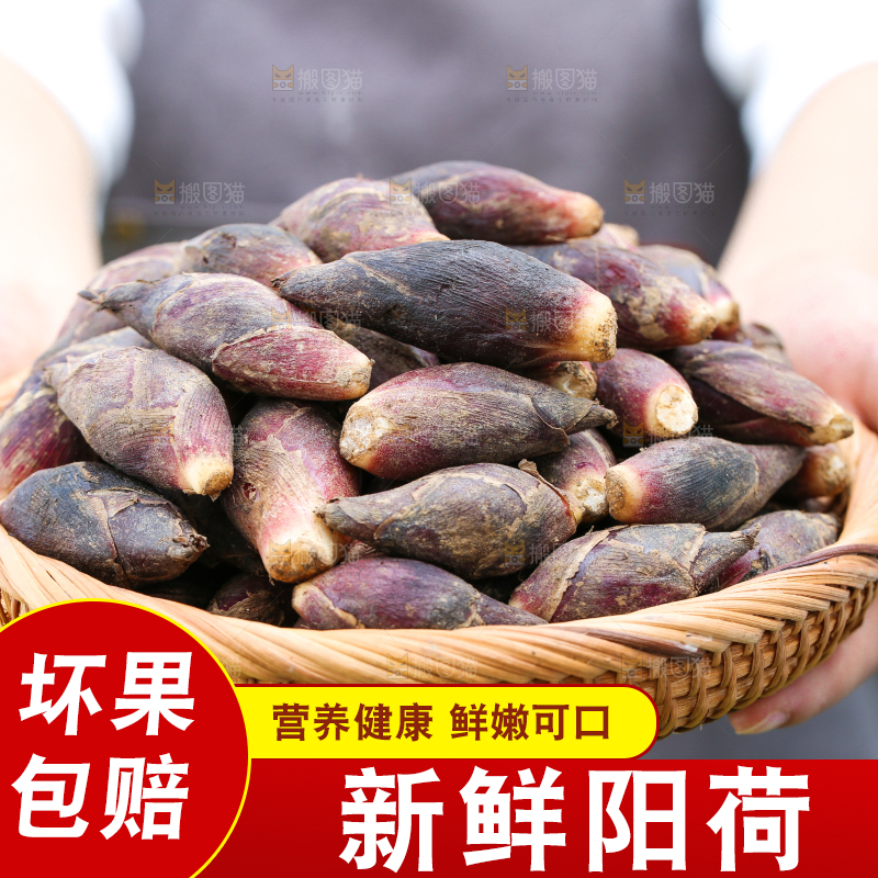 手里端着一篮贵州新鲜阳荷