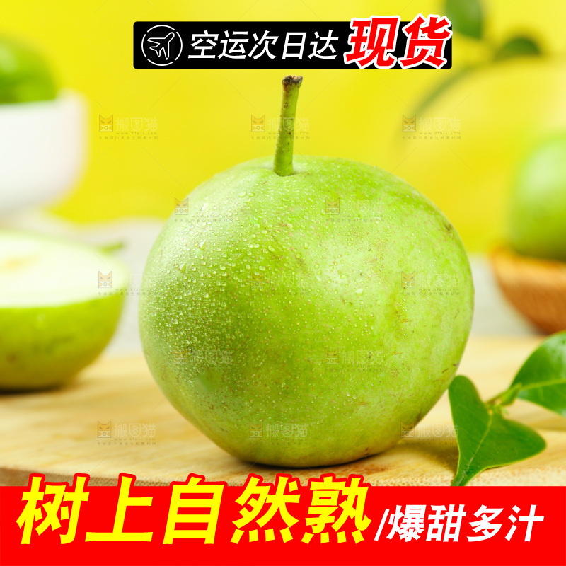 木底上摆放着陕西早酥梨