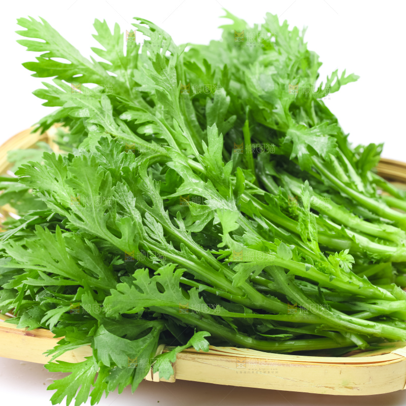 白底上的蓬蒿菜