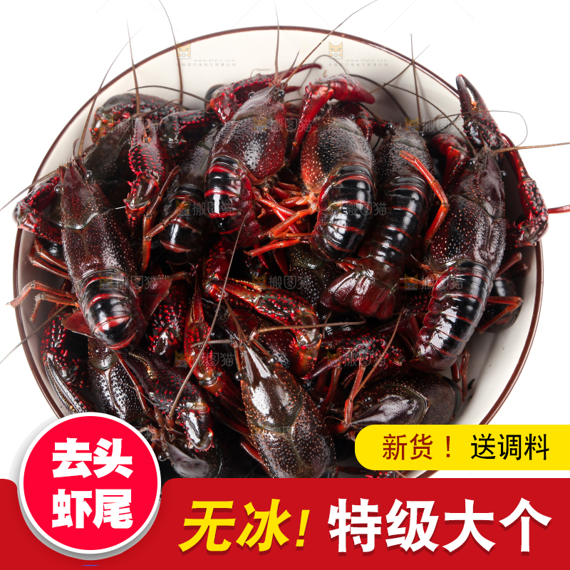 盆子里装着潜江小龙虾