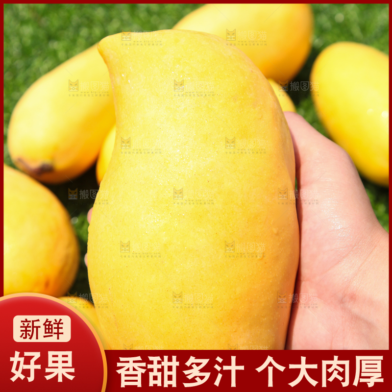 手里拿着芒果