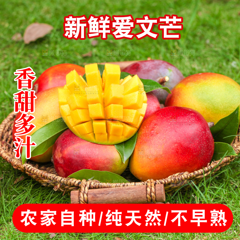 篮子里装着爱文芒