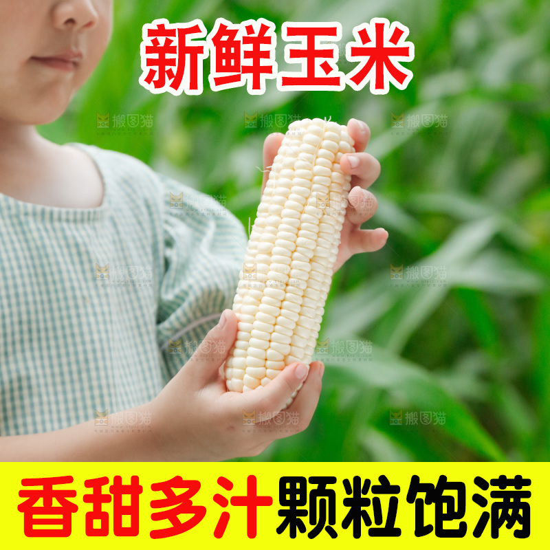 小女孩正在吃牛奶水果玉米