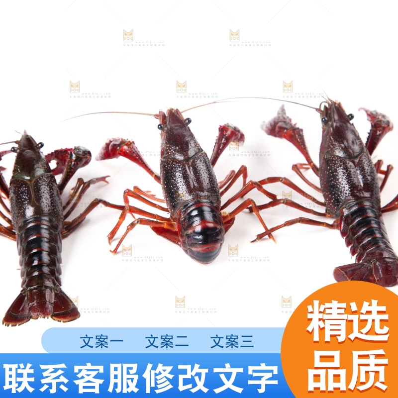 白底上摆放着小龙虾