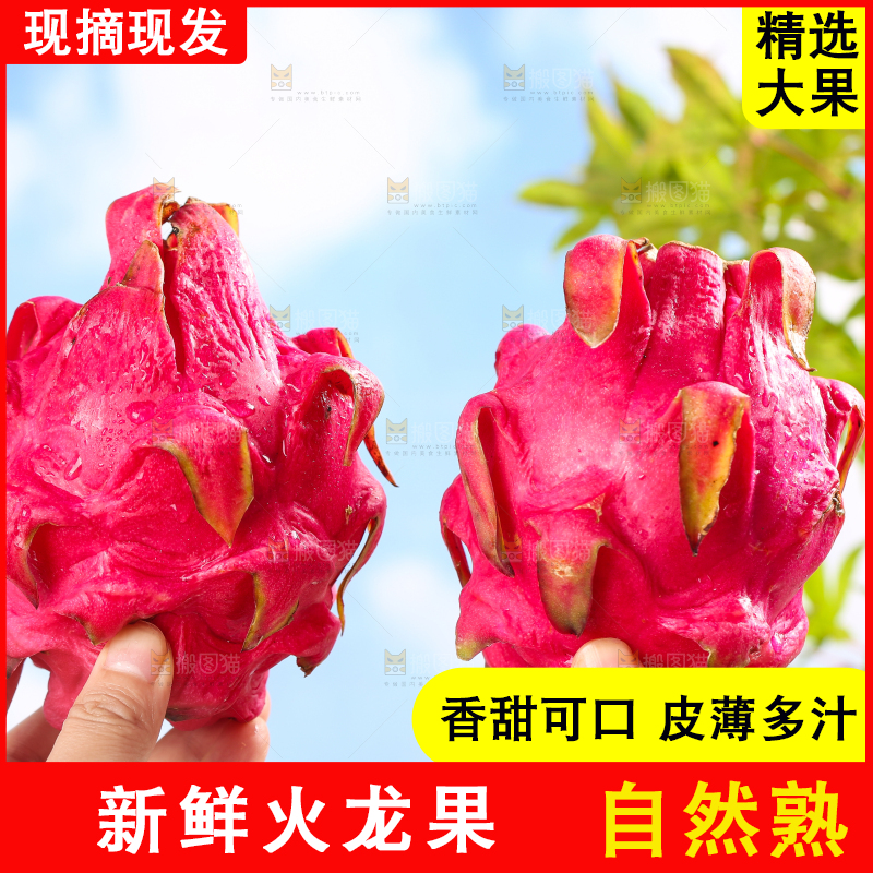 手里拿着火龙果