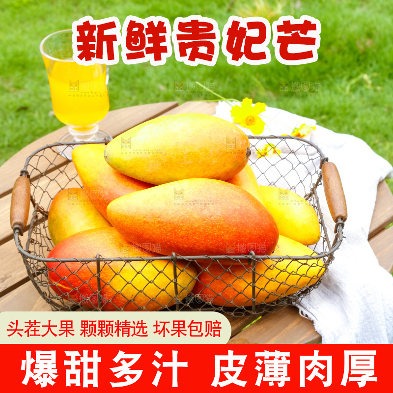 篮子里装着彩芒