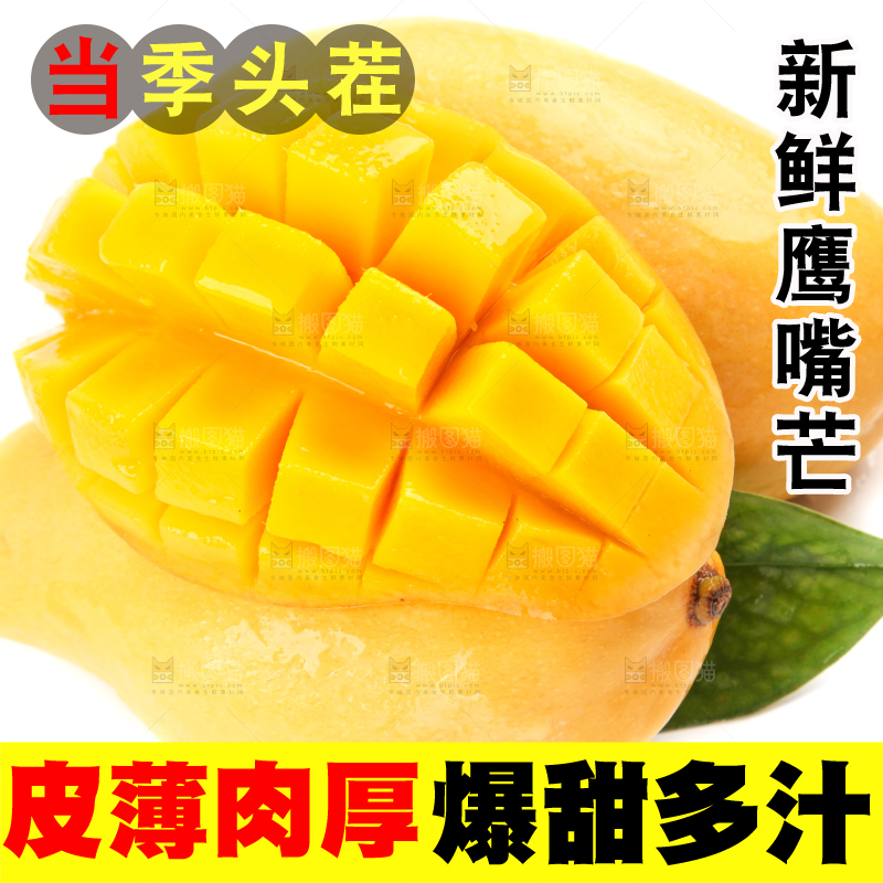 白底上放着象牙芒