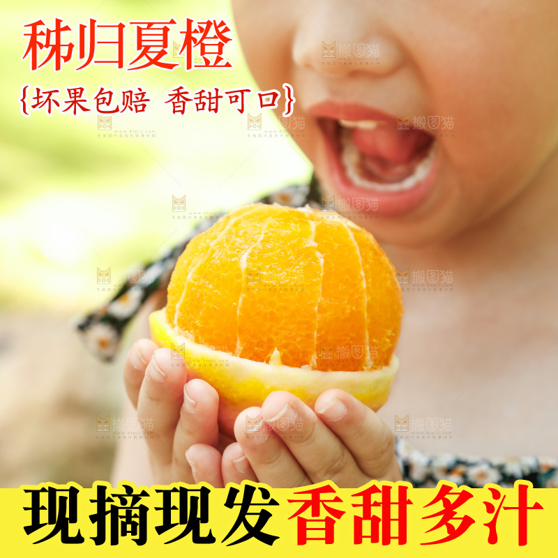 小女孩正在吃橙子