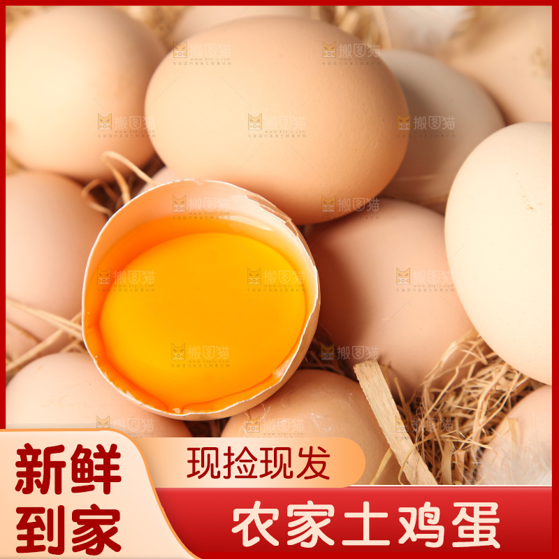 草堆上摆放着生鸡蛋