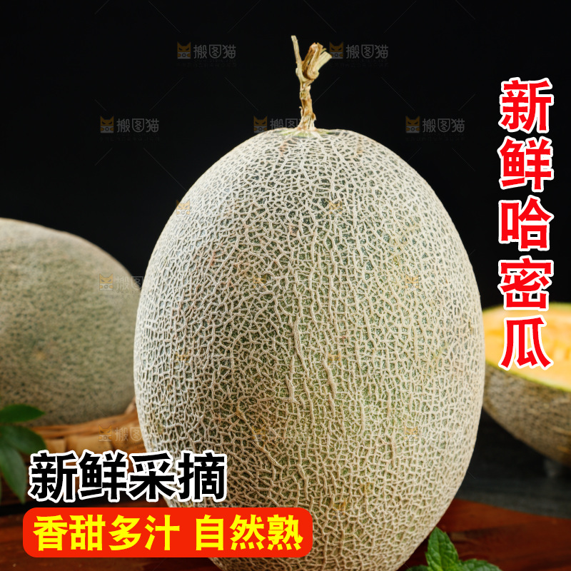 哈密瓜主图