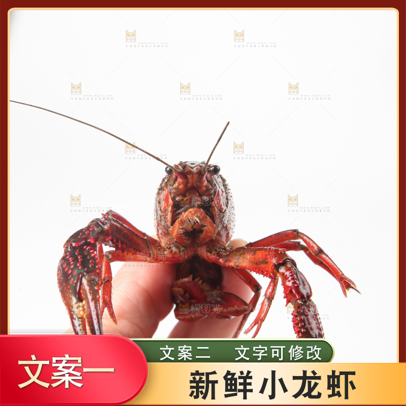 手里拿着鲜活小龙虾