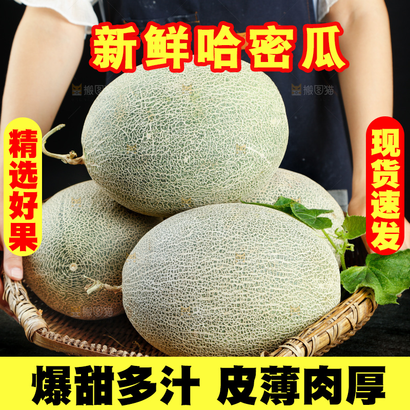 篮子里装着网纹瓜