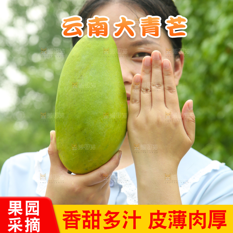 手里拿着大青芒
