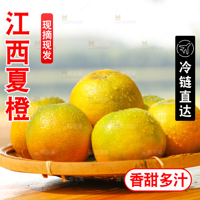 篮子里装着秭归夏橙