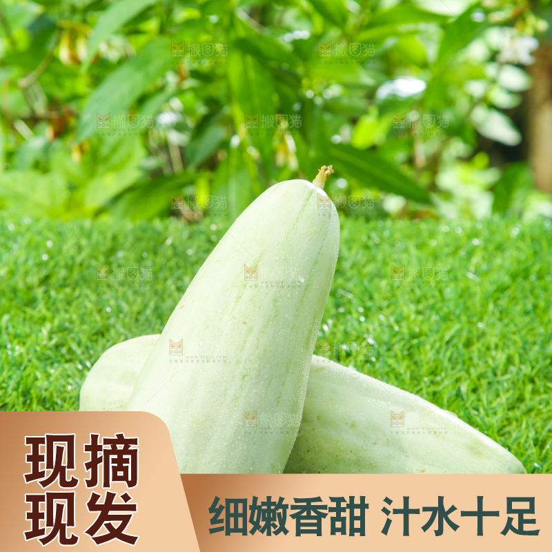绿草地上放着羊角蜜
