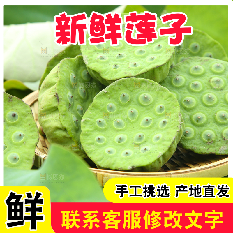 篮子里装着莲蓬
