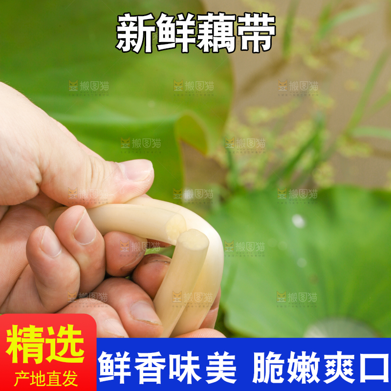 手里拿着新鲜藕带