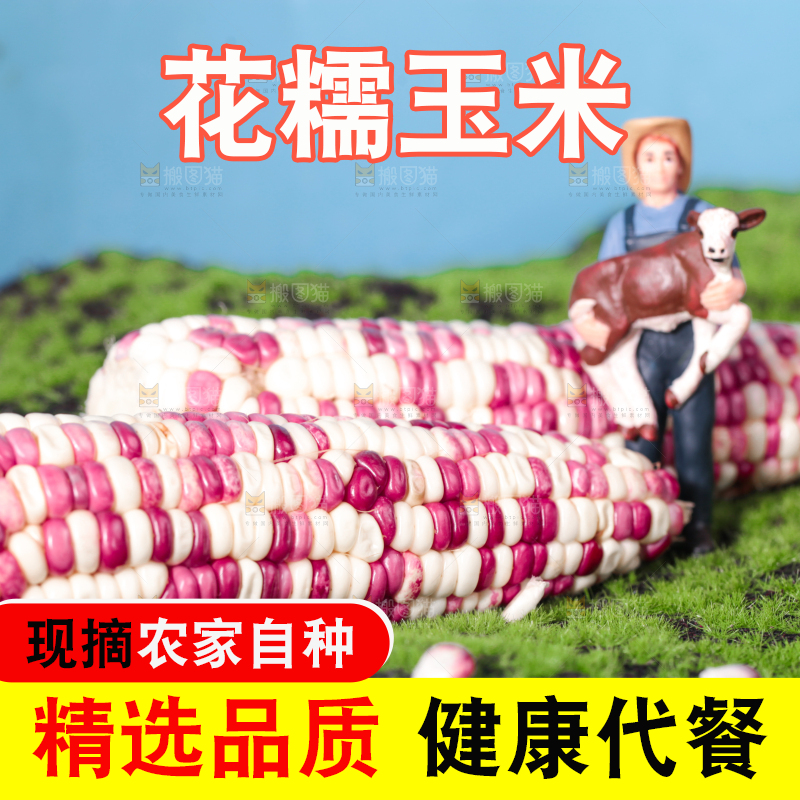 绿草地上放着花糥玉米