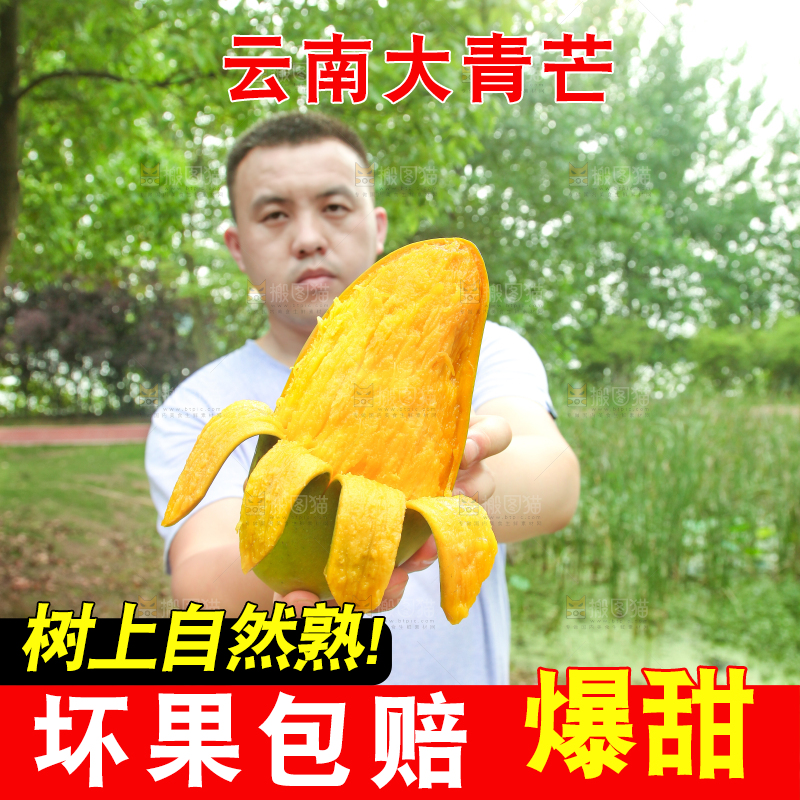 手里拿着大青芒