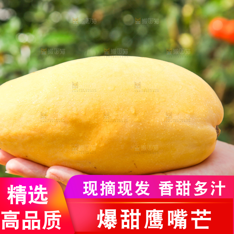 手里拿着芒果