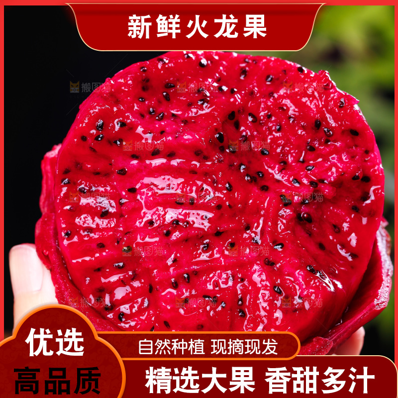 手里拿着红心火龙果