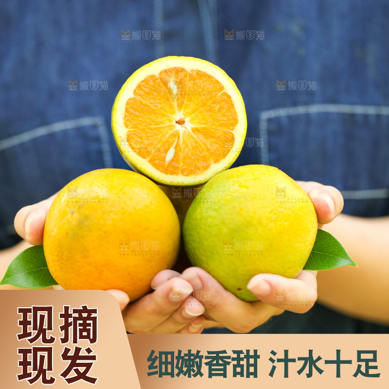 手里拿着秭归夏橙