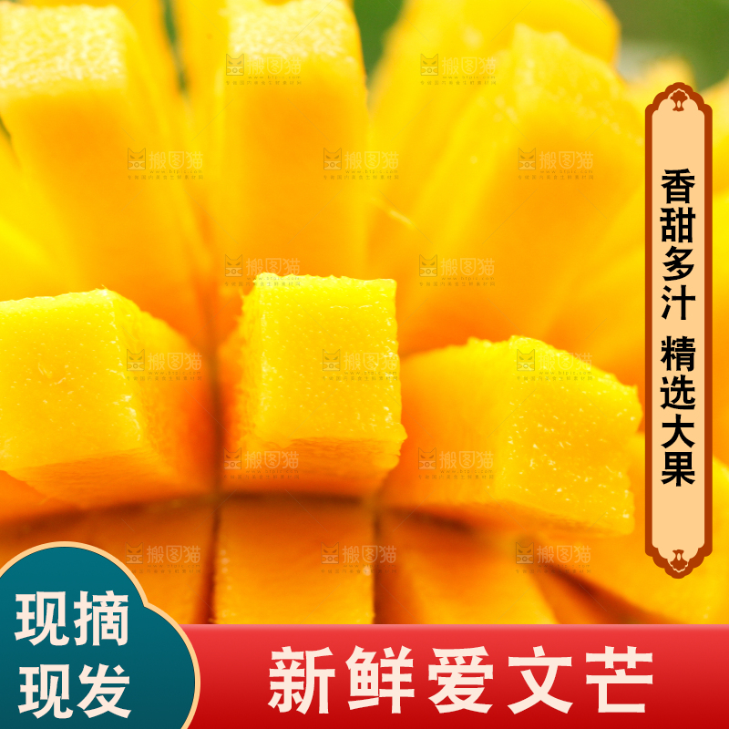 切开的爱文芒