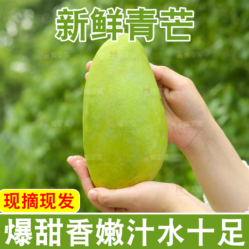手里拿着大青芒