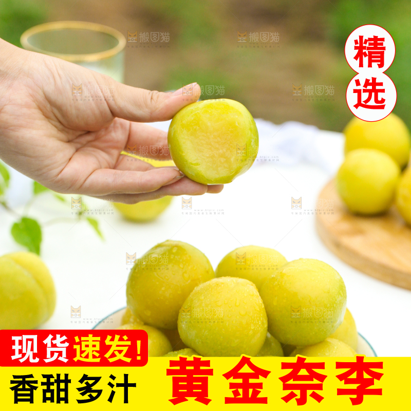 碟子里装着九峰山黄金奈李