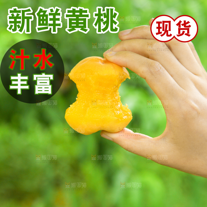 手里拿着黄肉毛桃
