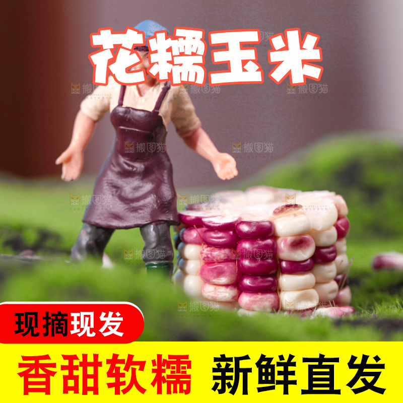 绿草地上放着花糥玉米