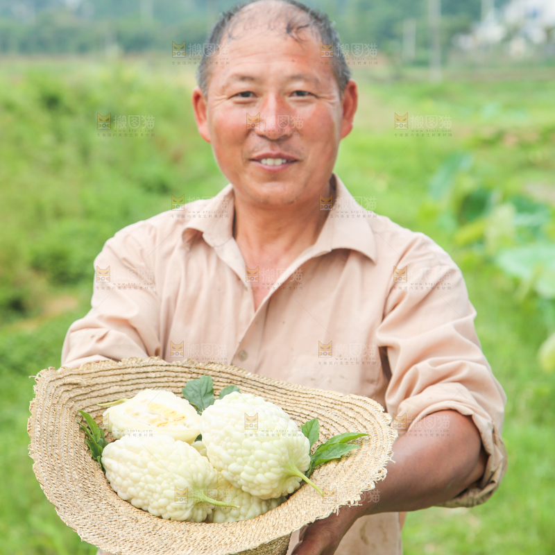 帽子里装着苹果苦瓜