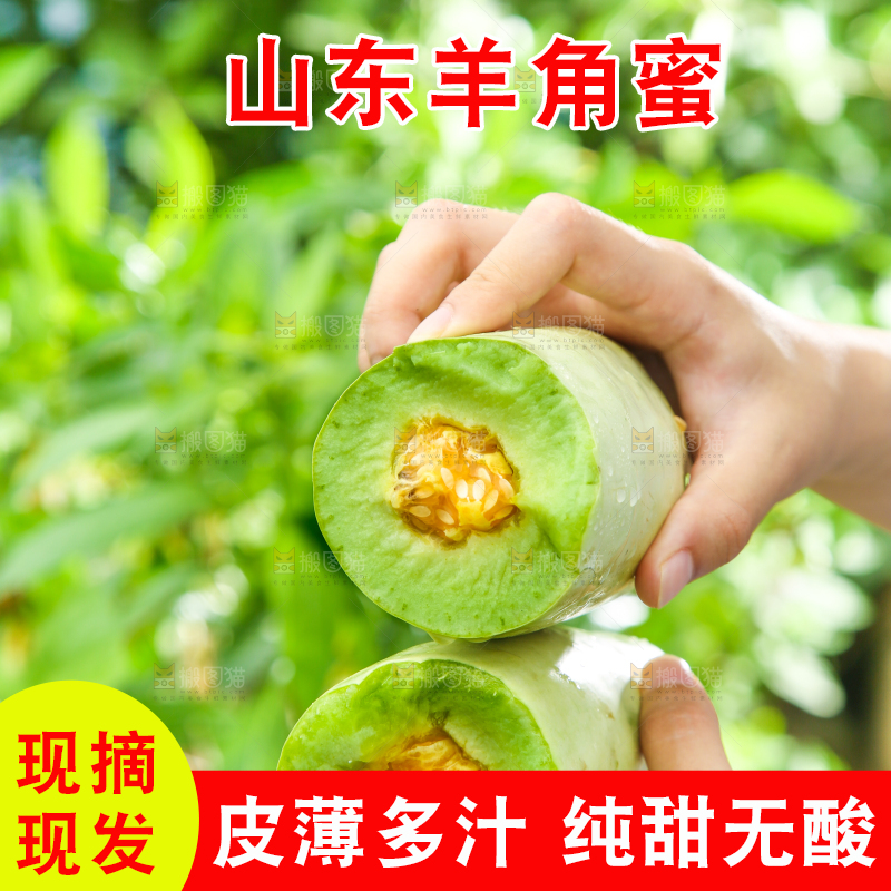 手里拿着山东羊角蜜