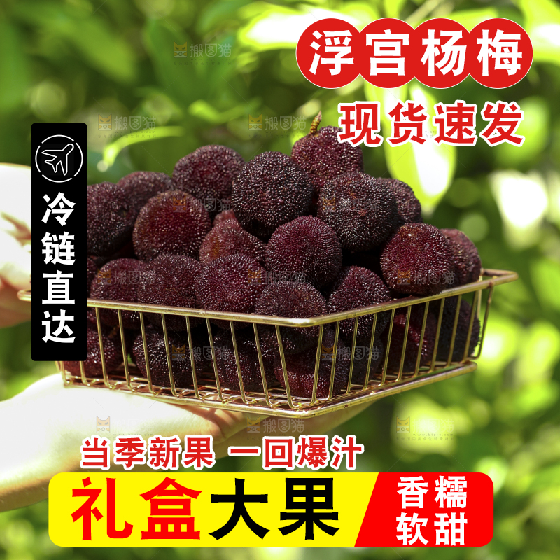 手里拿着一篮新鲜杨梅