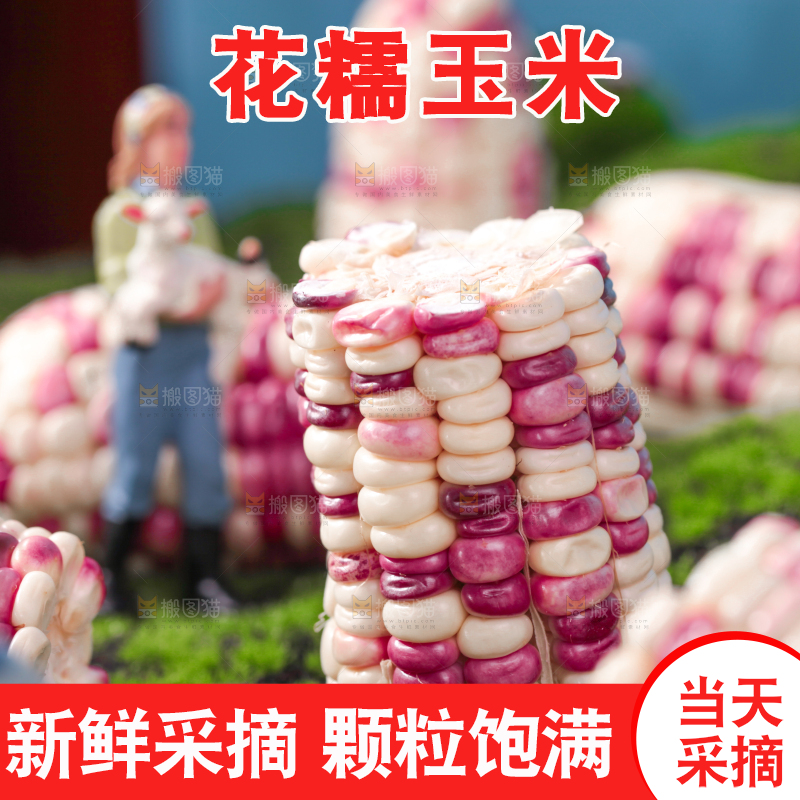 绿草地上放着花糥玉米