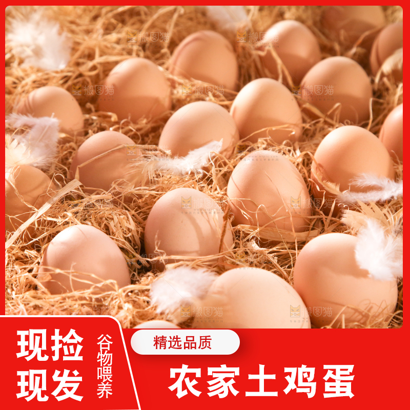 草堆里摆放着生鸡蛋