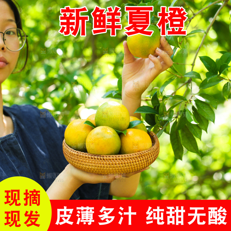 手里拿着一篮新鲜夏橙