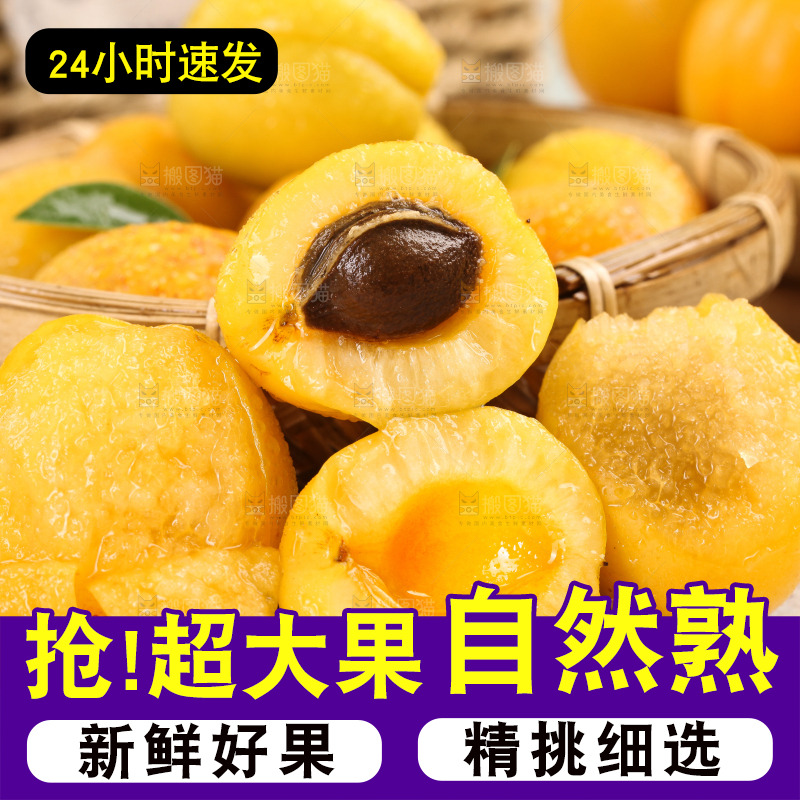 白底上摆放着山东小白杏