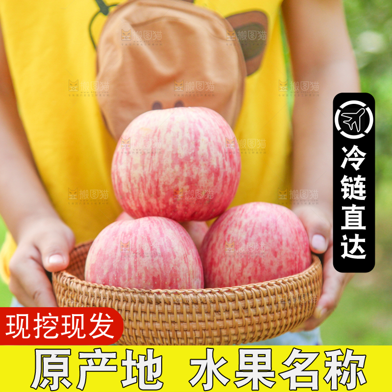 手里端着一篮陕西红富士