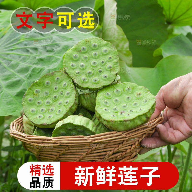 手里拿着一篮莲蓬子
