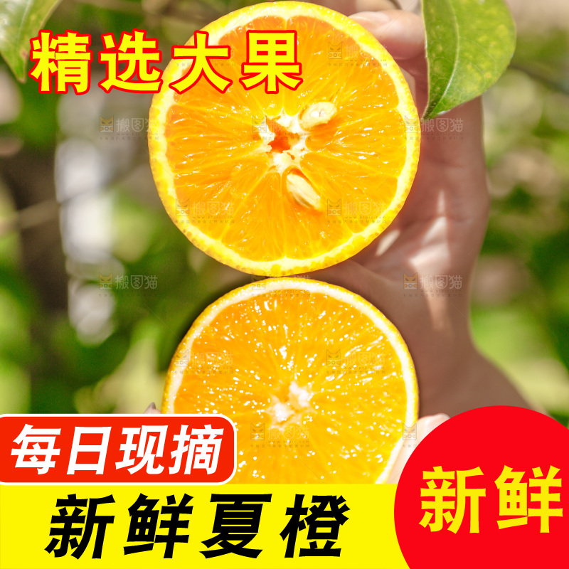手里拿着新鲜夏橙