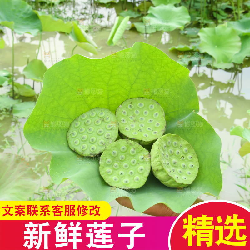 手里拿着莲蓬子